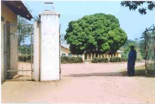 mbaraukwu